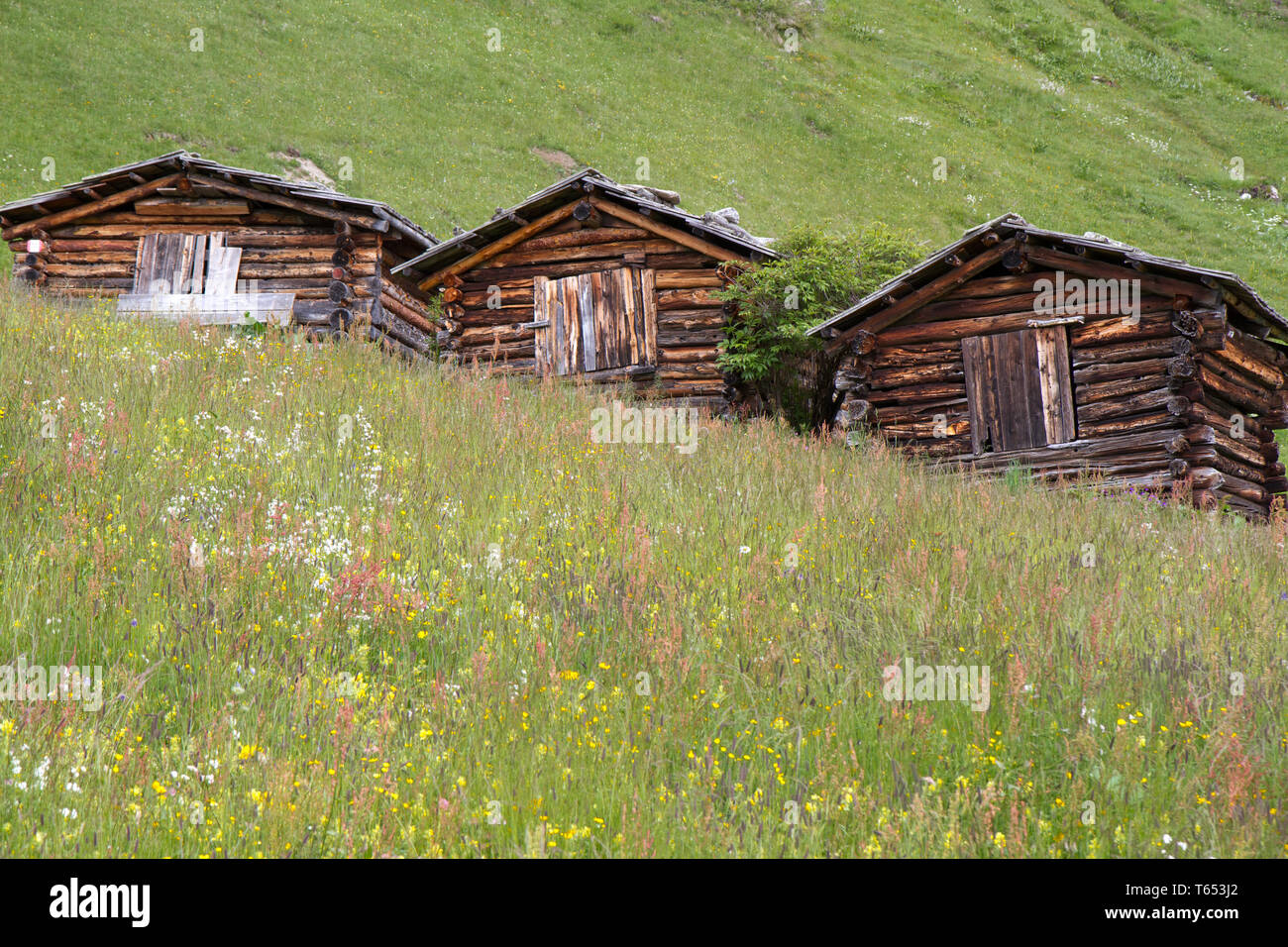 Shieling in South Tyrol, Austria, Europe Stock Photo