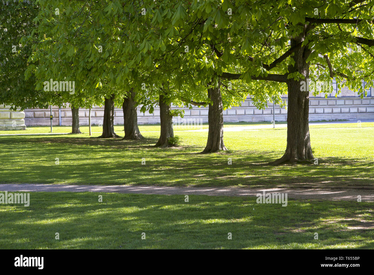 Alley chestnut hi-res stock photography and images - Page 4 - Alamy