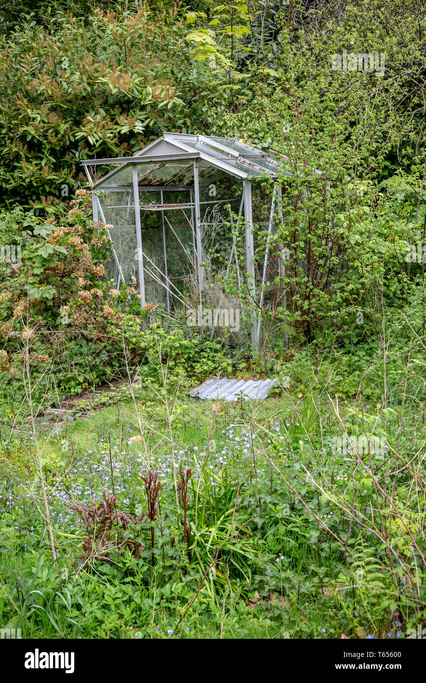 Abandoned, Vegetable Garden, Overgrown, Building Exterior, Greenhouse, 2015, Built Structure, Flower, Glass - Material, Grass, Green Color, Horizontal Stock Photo