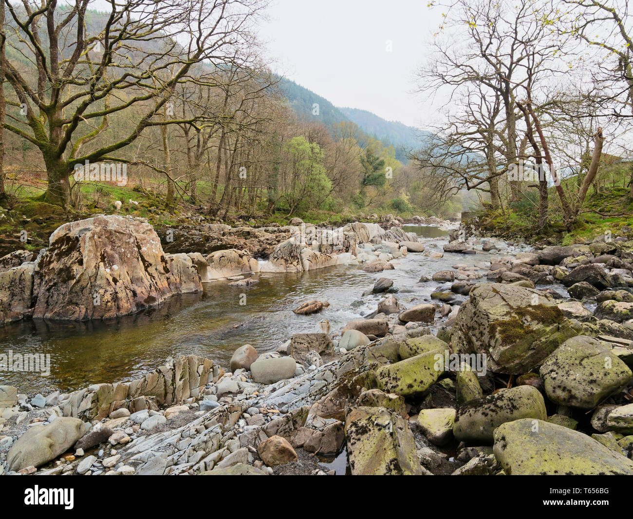 The River Mawddach winds between tree lined banks on a misty sprind day in Wales Stock Photo