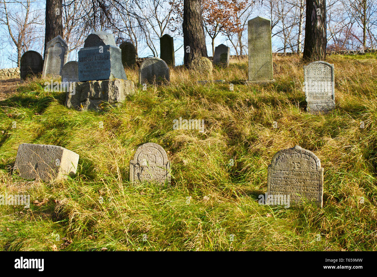 forgotten and unkempt Jewish cemetery with the strangers Stock Photo
