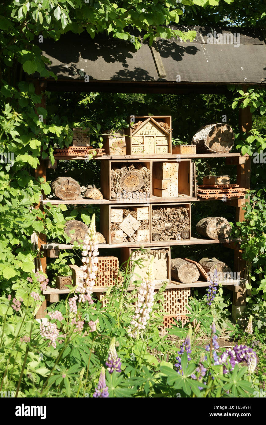 Beehives, Germany Stock Photo