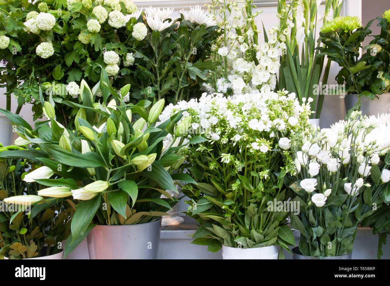 Colourful flowers in an german flower shop Stock Photo Alamy