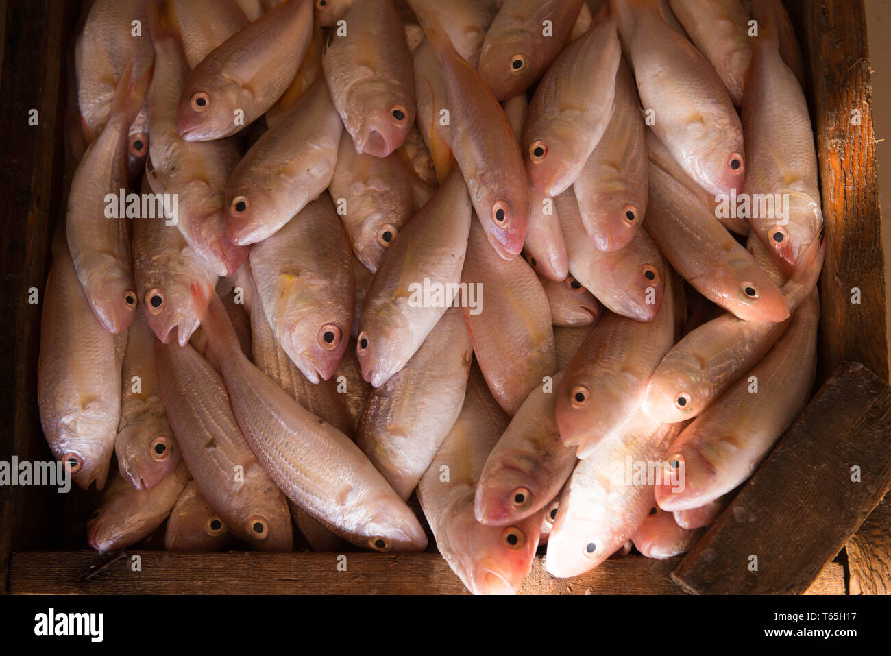 Fish for sale. Fish supermarket. Fish. Fish texture background. Stock Photo