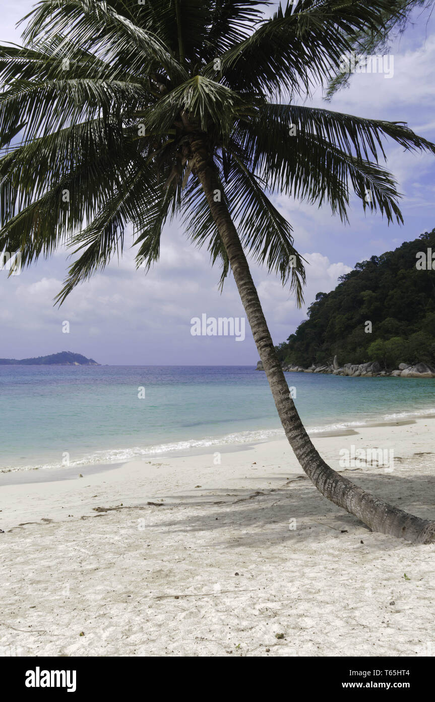 Tropical coast hi-res stock photography and images - Alamy