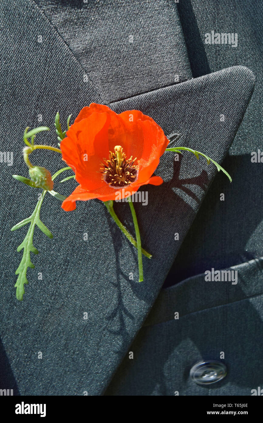 Red poppy as a symbol of Victory Day on the lapel of his jacket gray Stock Photo