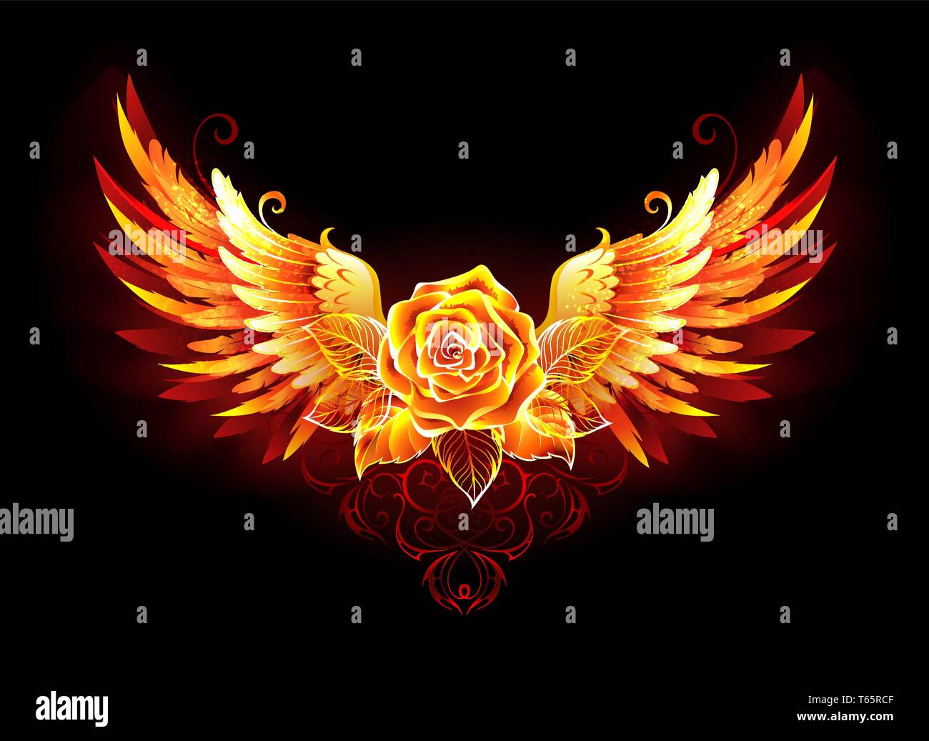 Fire rose hi-res stock photography and images - Alamy