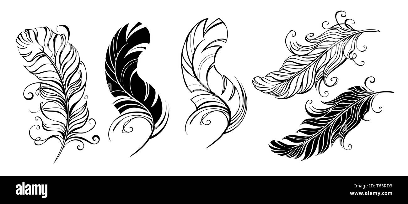Set of artistic, fluffy, black, bird feathers on white background. Tattoo style. Stock Vector