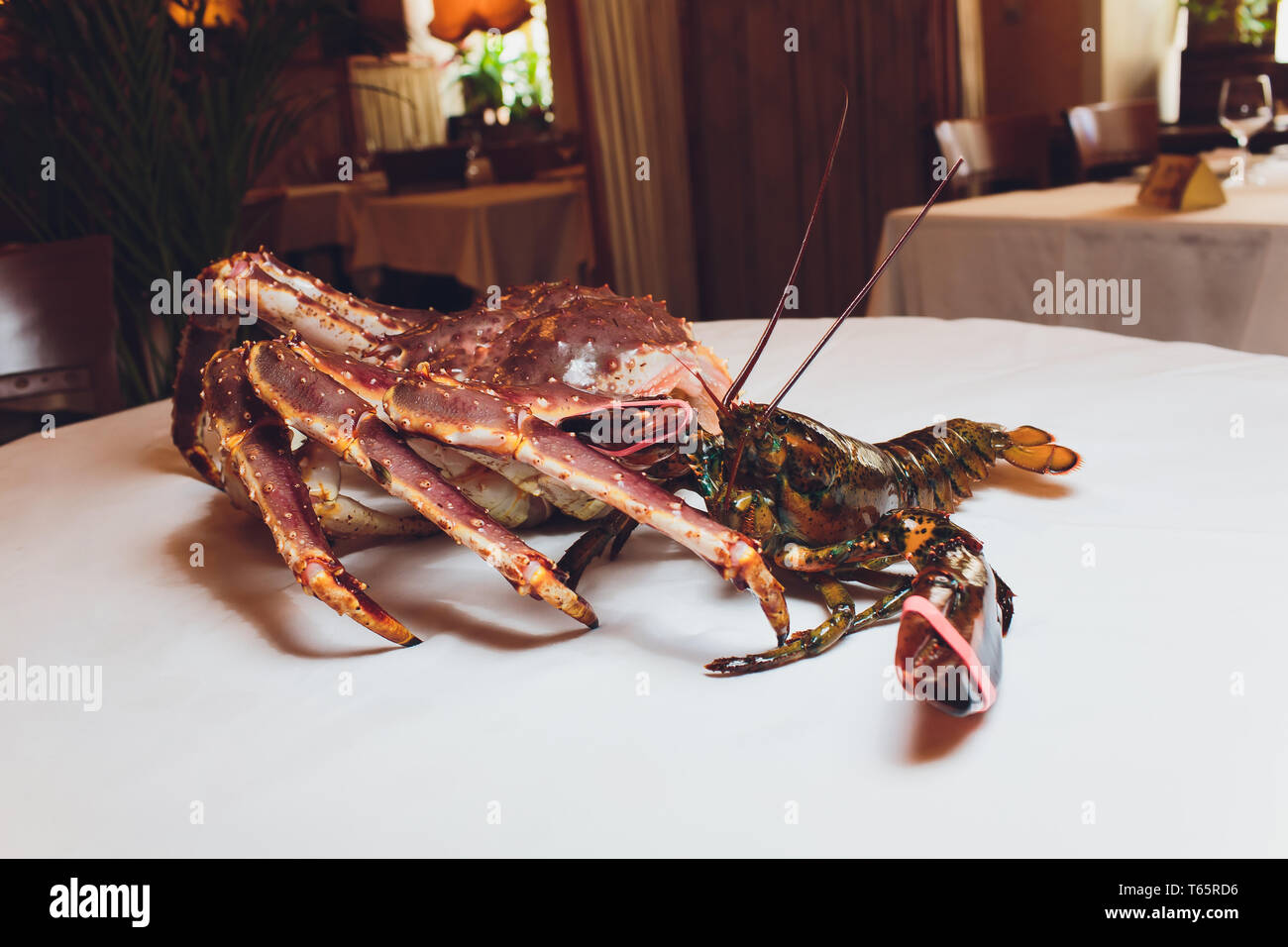 King Crab And Lobster Live Opposite Each Other On A White Background Stock Photo Alamy