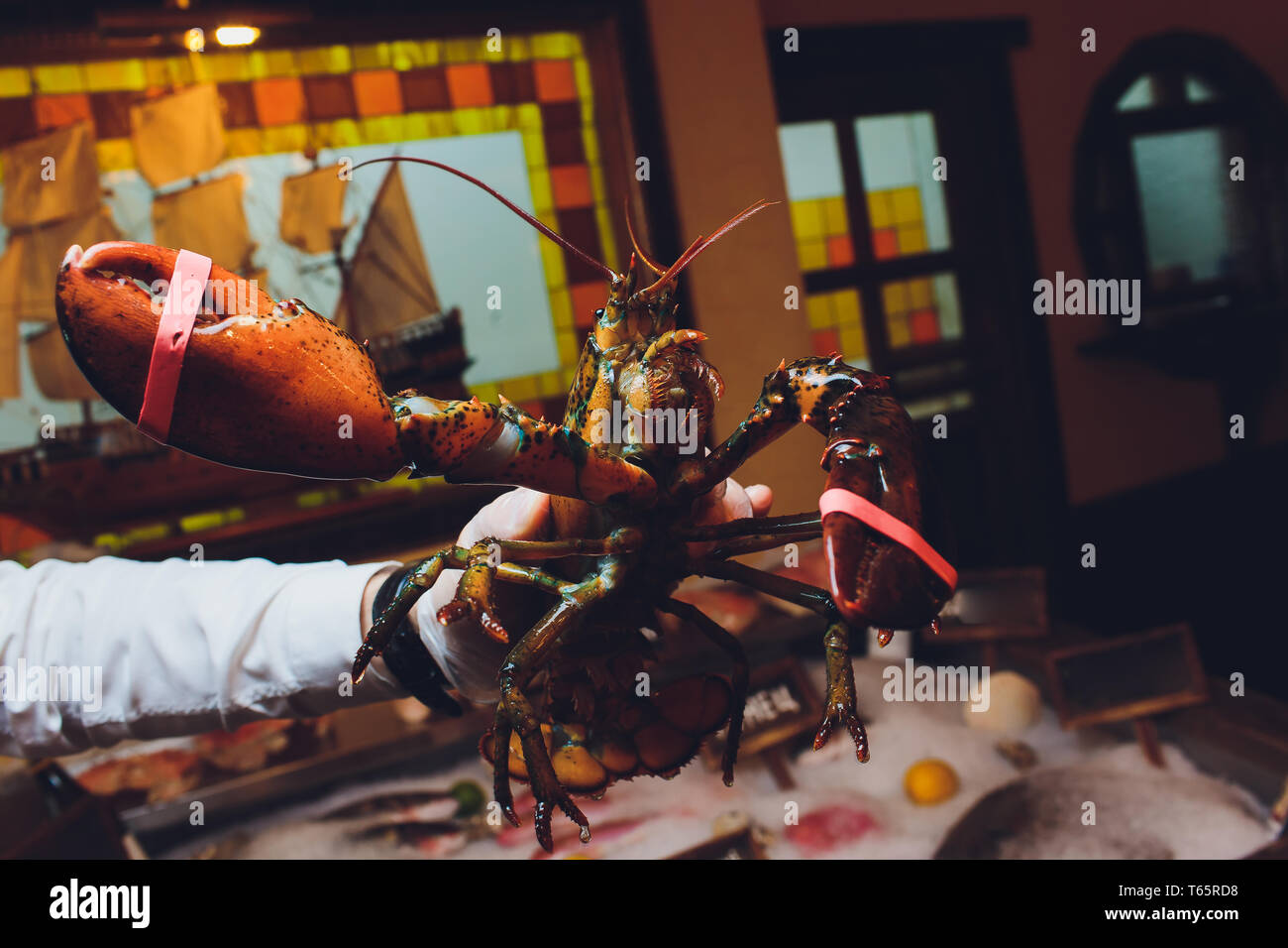 Lobster. A hand holding a giant lobster at a seafood buffet. Soft focus on the lobster Stock