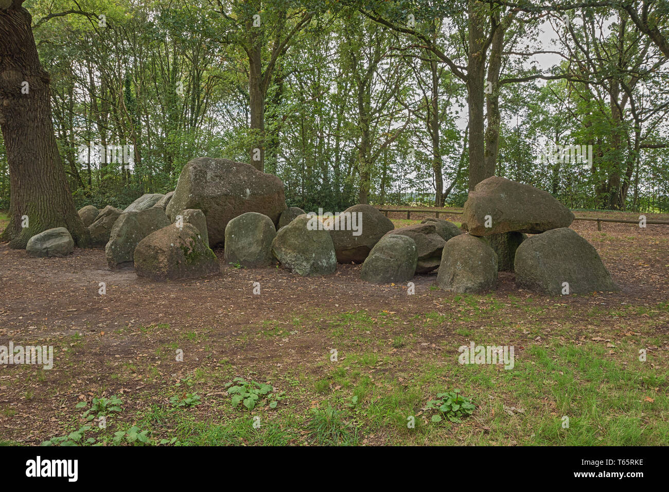 Left hand side view of Dolmen D17 in the vicinity of Rolde Stock Photo