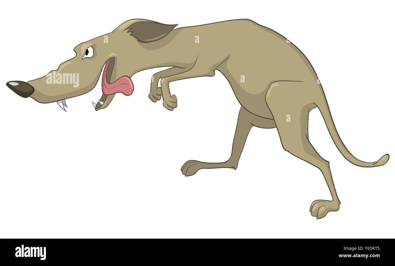 Cartoon Character Sly Dog Stock Photo Alamy