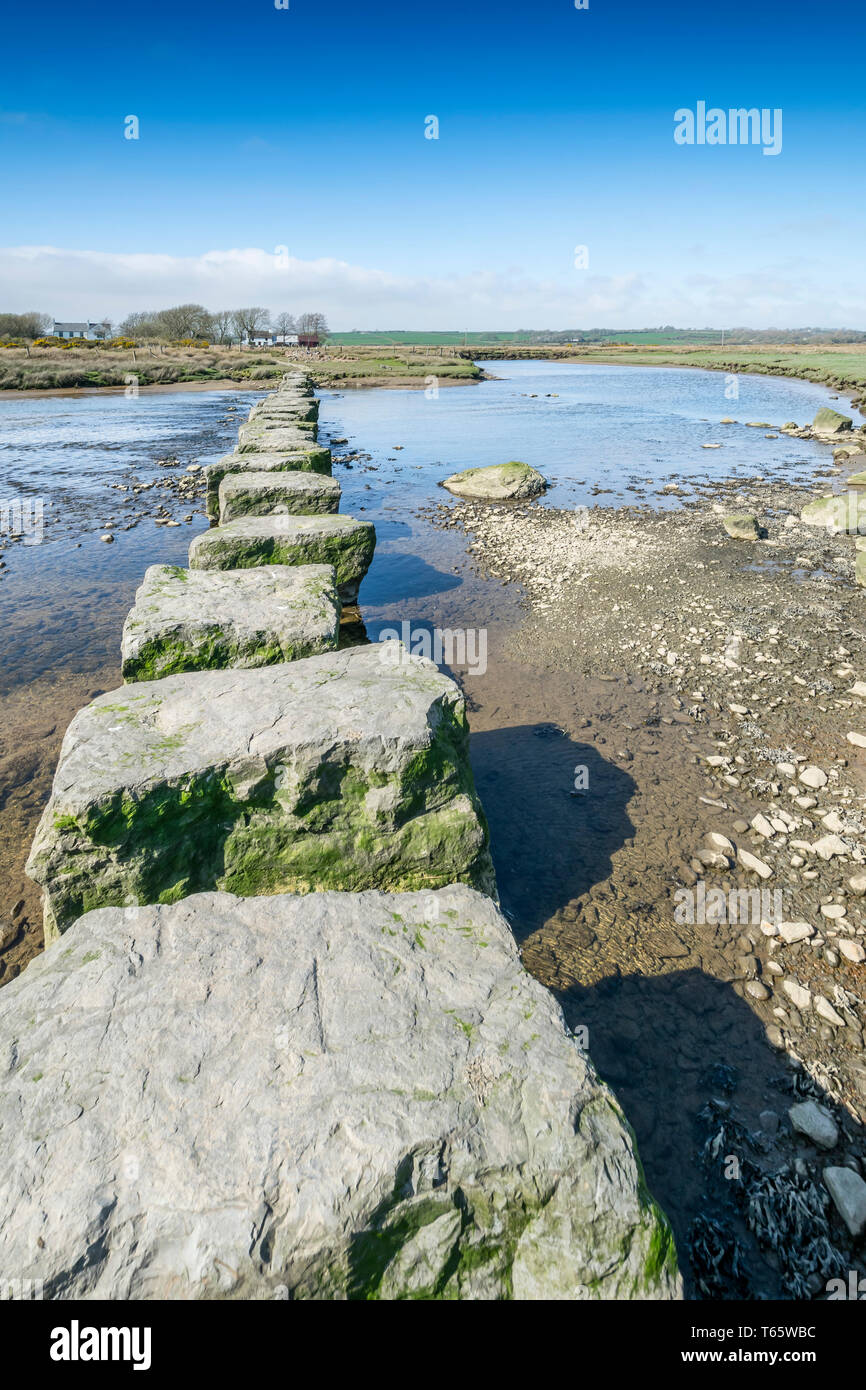 Stepping stones on the Afon Braint river near Dwyran village on