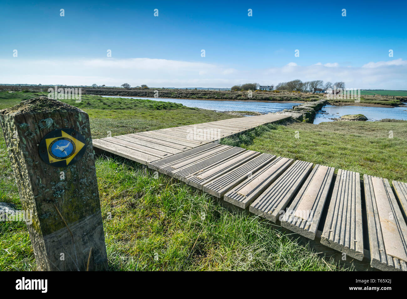 Stepping stones on the Afon Braint river near Dwyran village on