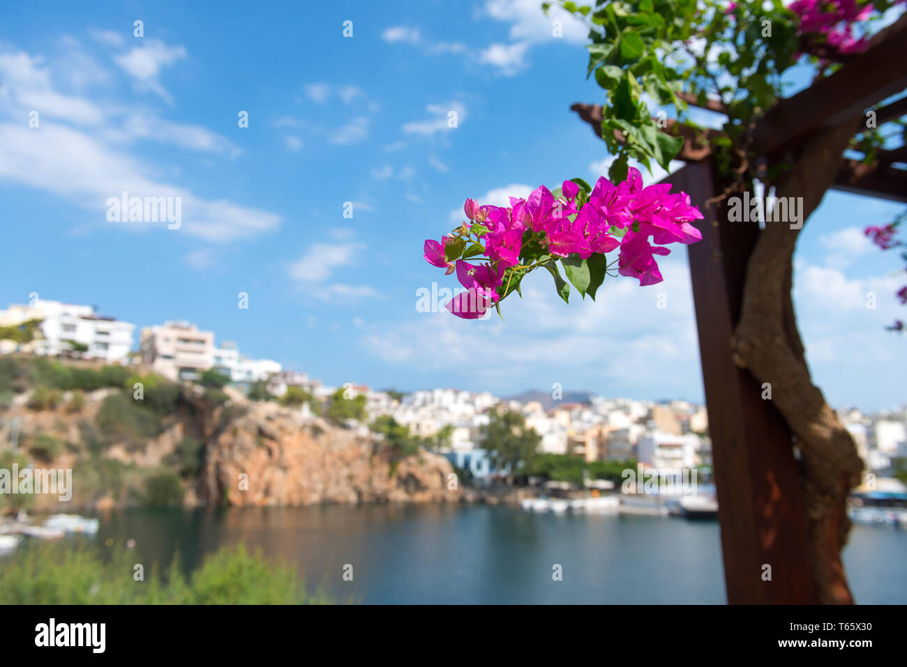 Greece. Crete. Rethymno. Flowers. Traditional greek street Stock Photo