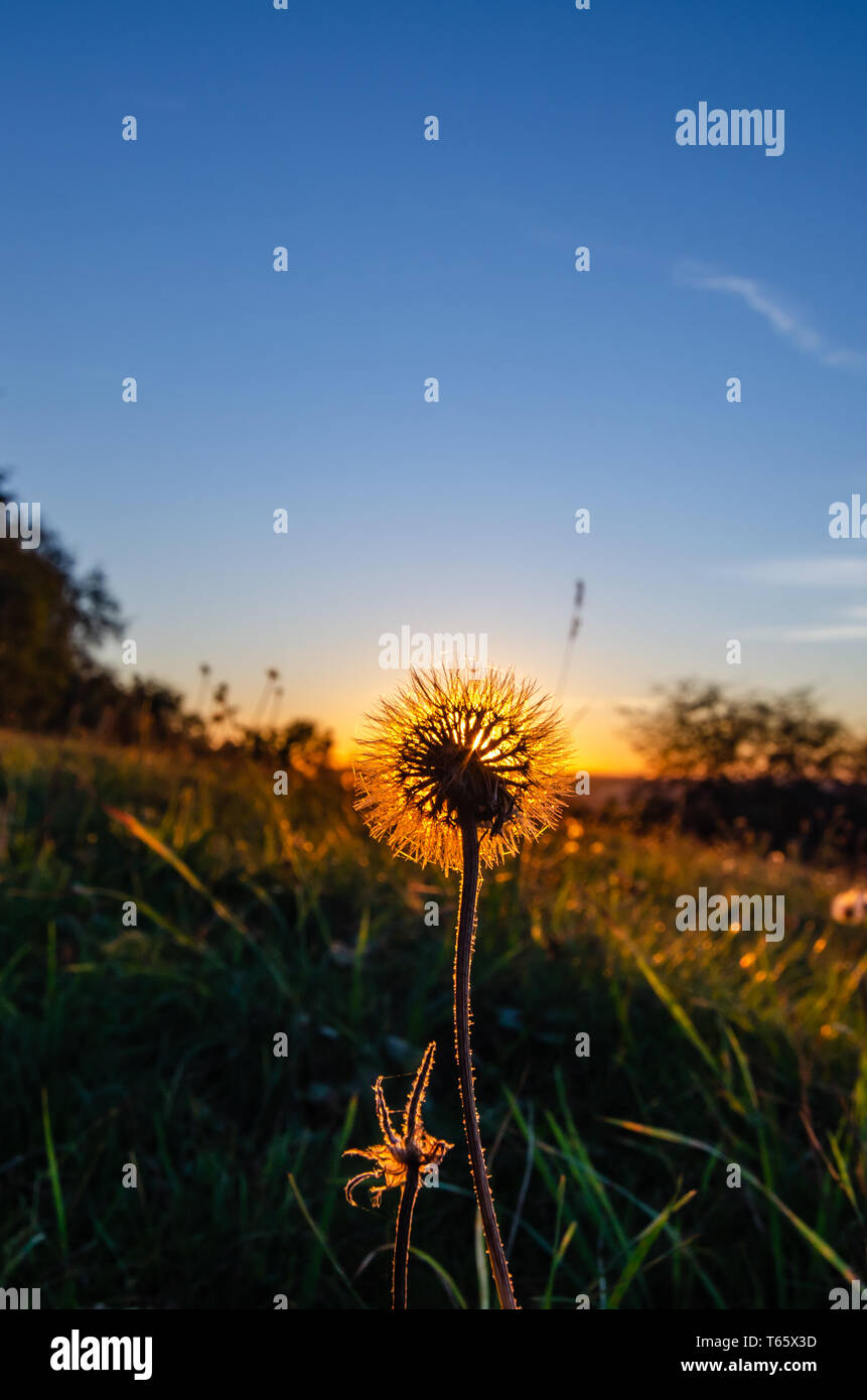 Pust' hi-res stock photography and images - Alamy