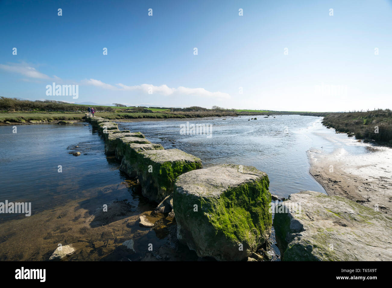 Stepping stones on the Afon Braint river near Dwyran village on