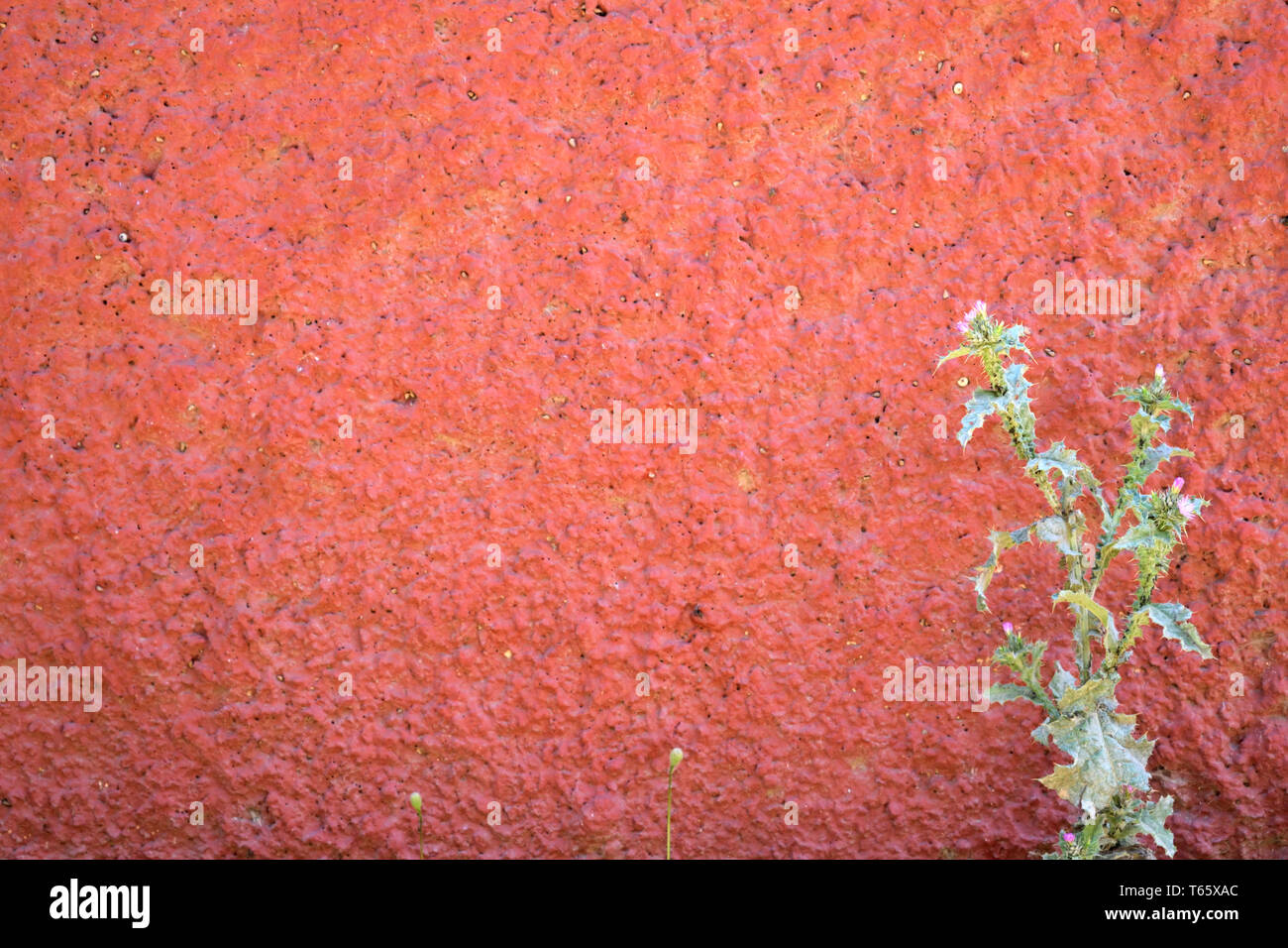 Granular material hires stock photography and images Alamy