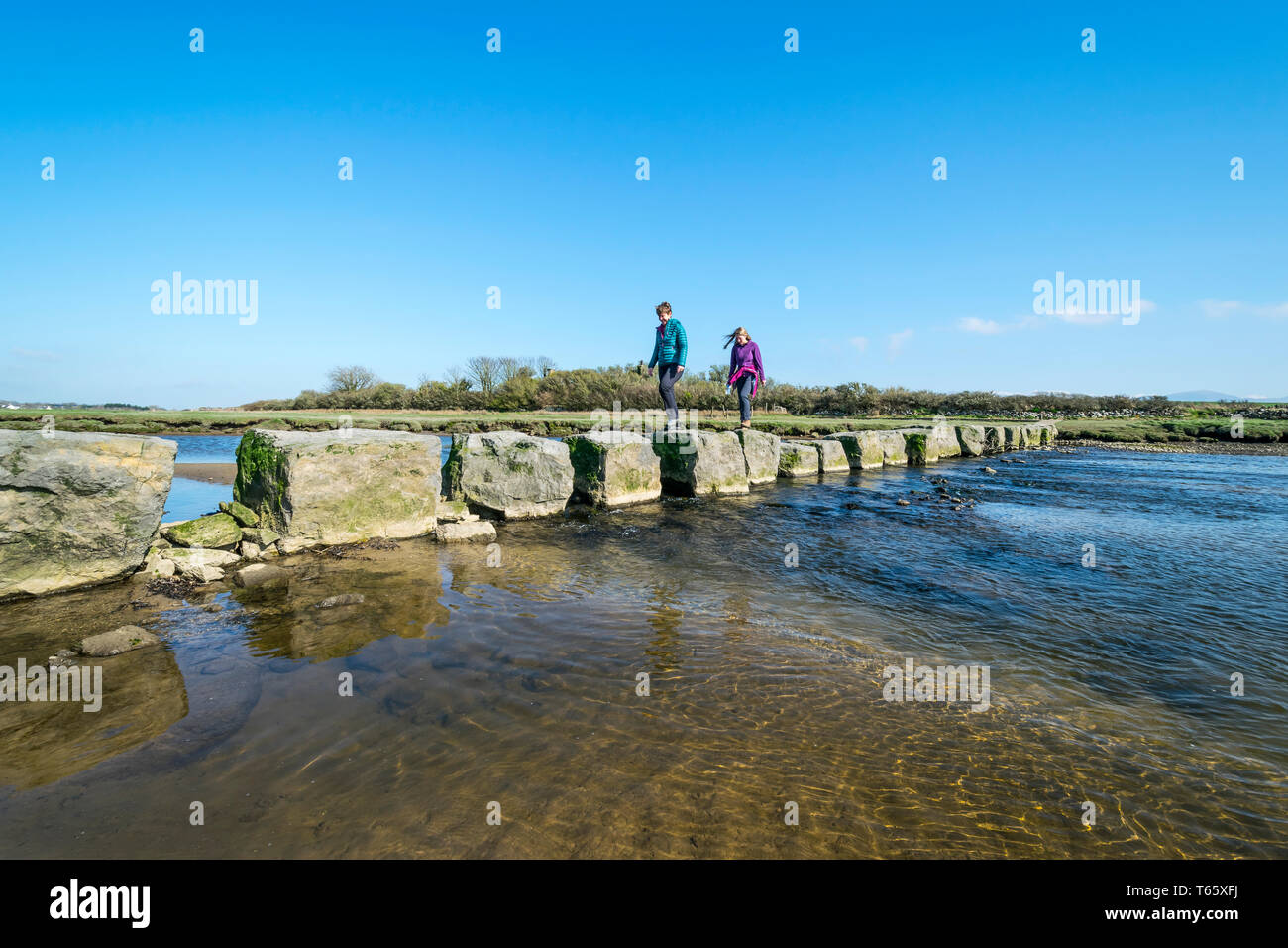 Stepping stones on the Afon Braint river near Dwyran village on