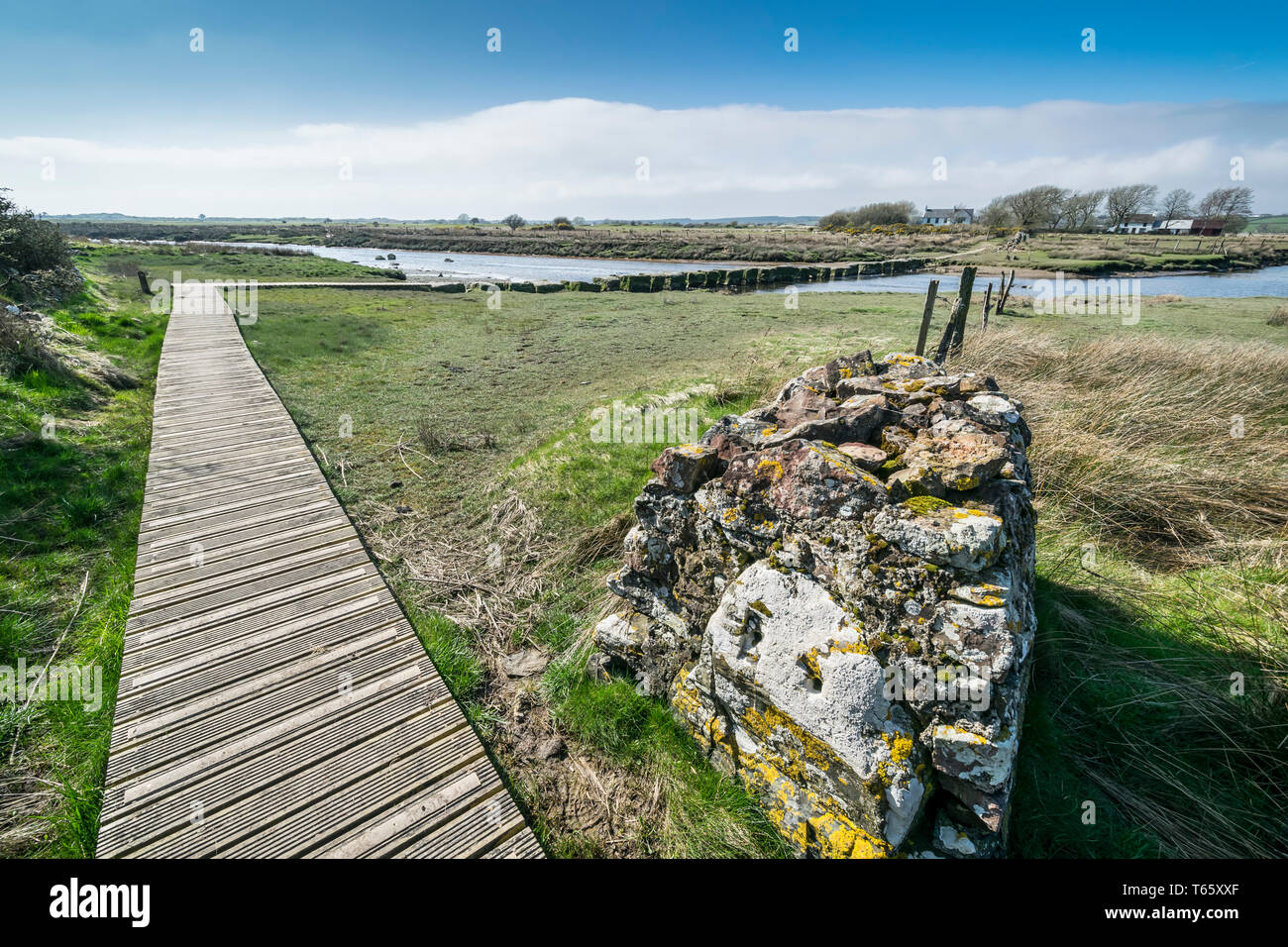 Stepping stones on the Afon Braint river near Dwyran village on