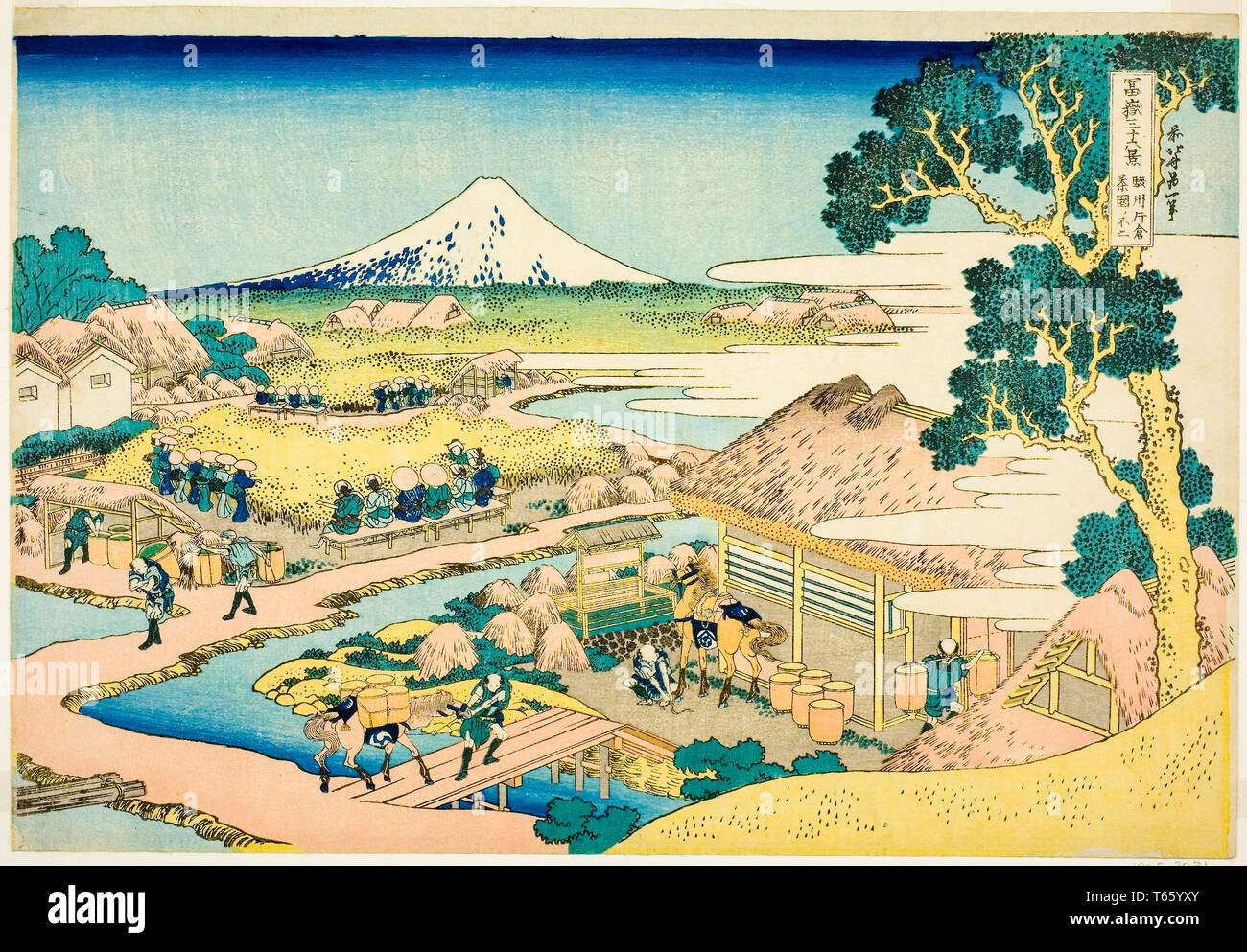 Katsushika Hokusai, The Tea Plantation of Katakura in Suruga Province, print, c. 1825-1838 Stock Photo