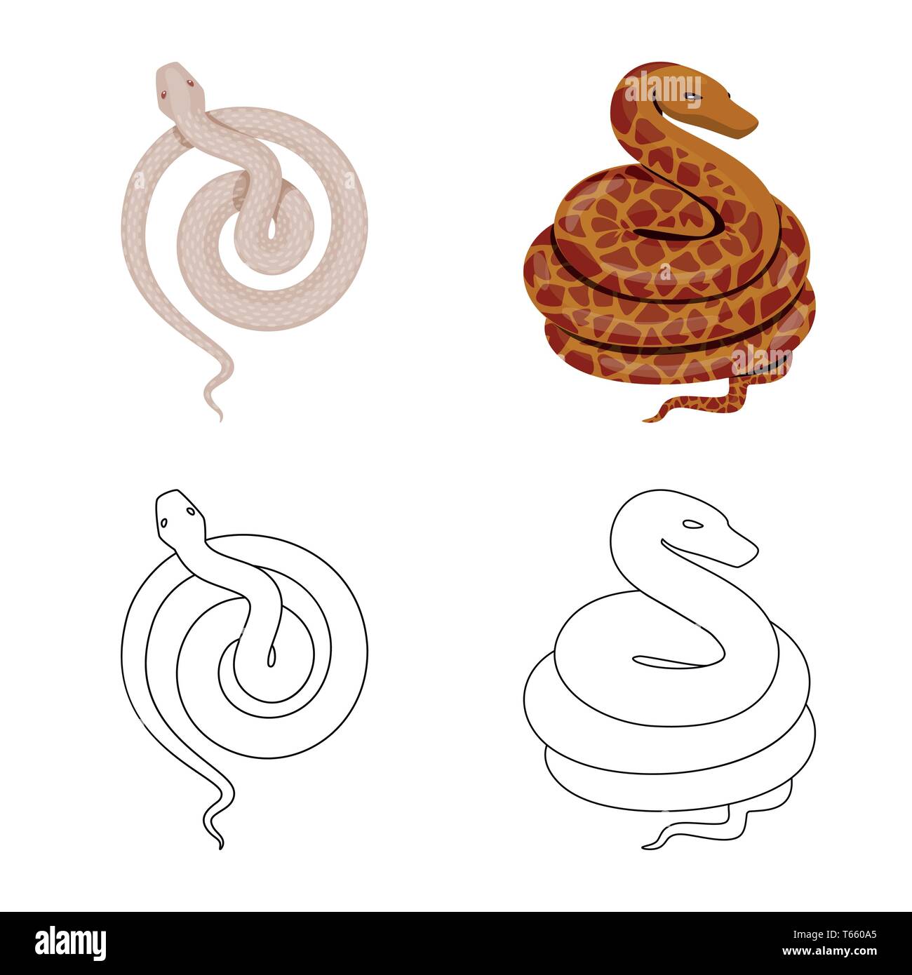 viper,snake,white,python,tail,animal,spiral,green,jungle,tropics,forest ...