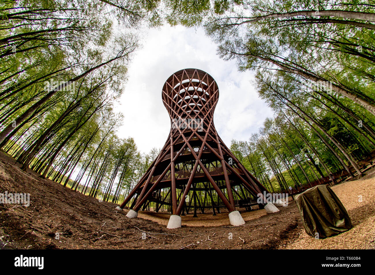 Denmark, Haslev - April 28, 2019. The 45 meter high spectacular spiral wood  and steel observation tower is overlooking the beautiful Gisselfeld  Klosters Forest as part of Camp Adventure in Haslev. (Photo