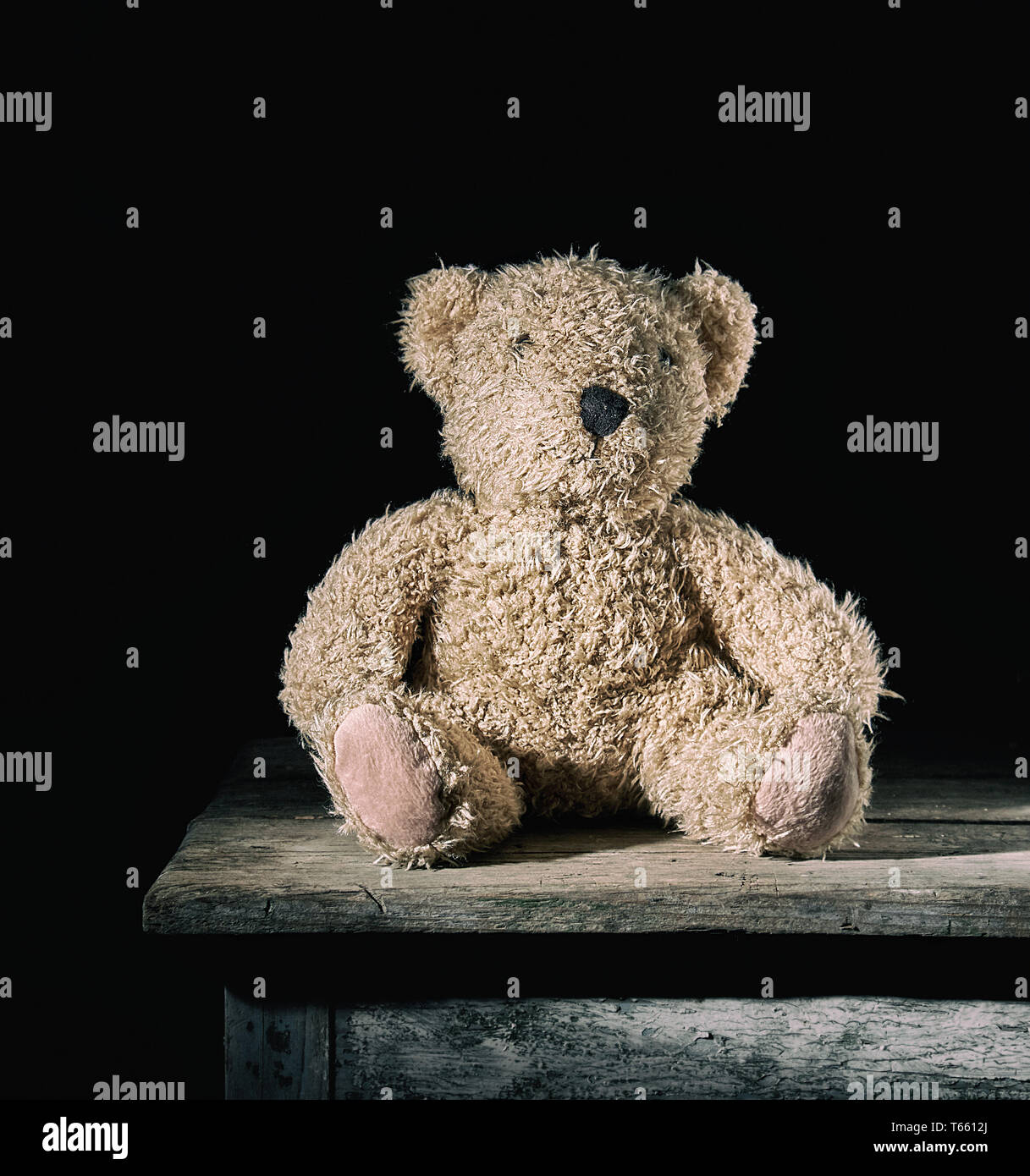18Bear 20 Bear 22 Bear 18Bear 20 Bear 22 Bear