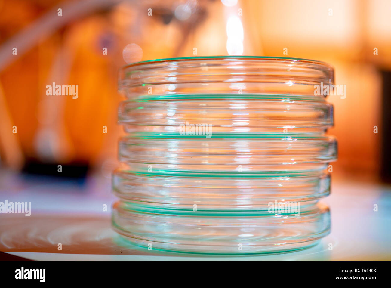 Compound Glass Instrument Glass instruments in the laboratory of chemical synthesis Stock Photo ...