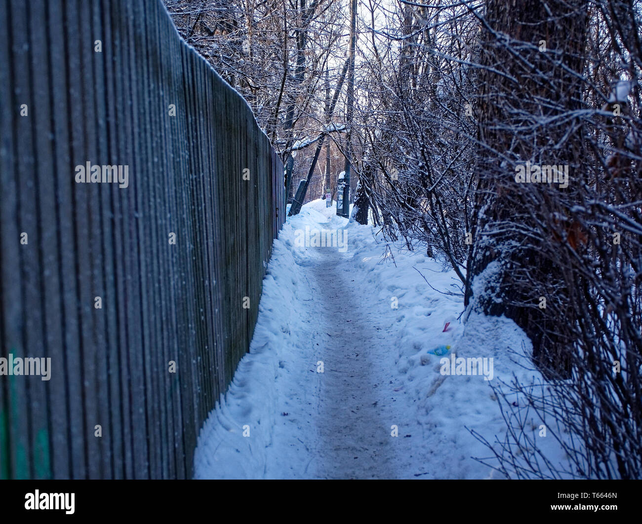 Trail of footprints in the snow hires stock photography and images Alamy