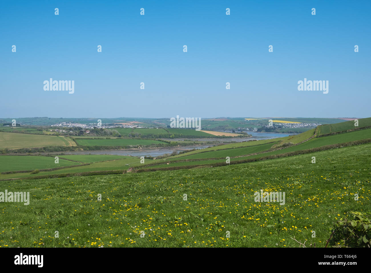 View of agricultural fields and the Kingsbridge estuary in the South Hams on a sunny spring day Stock Photo