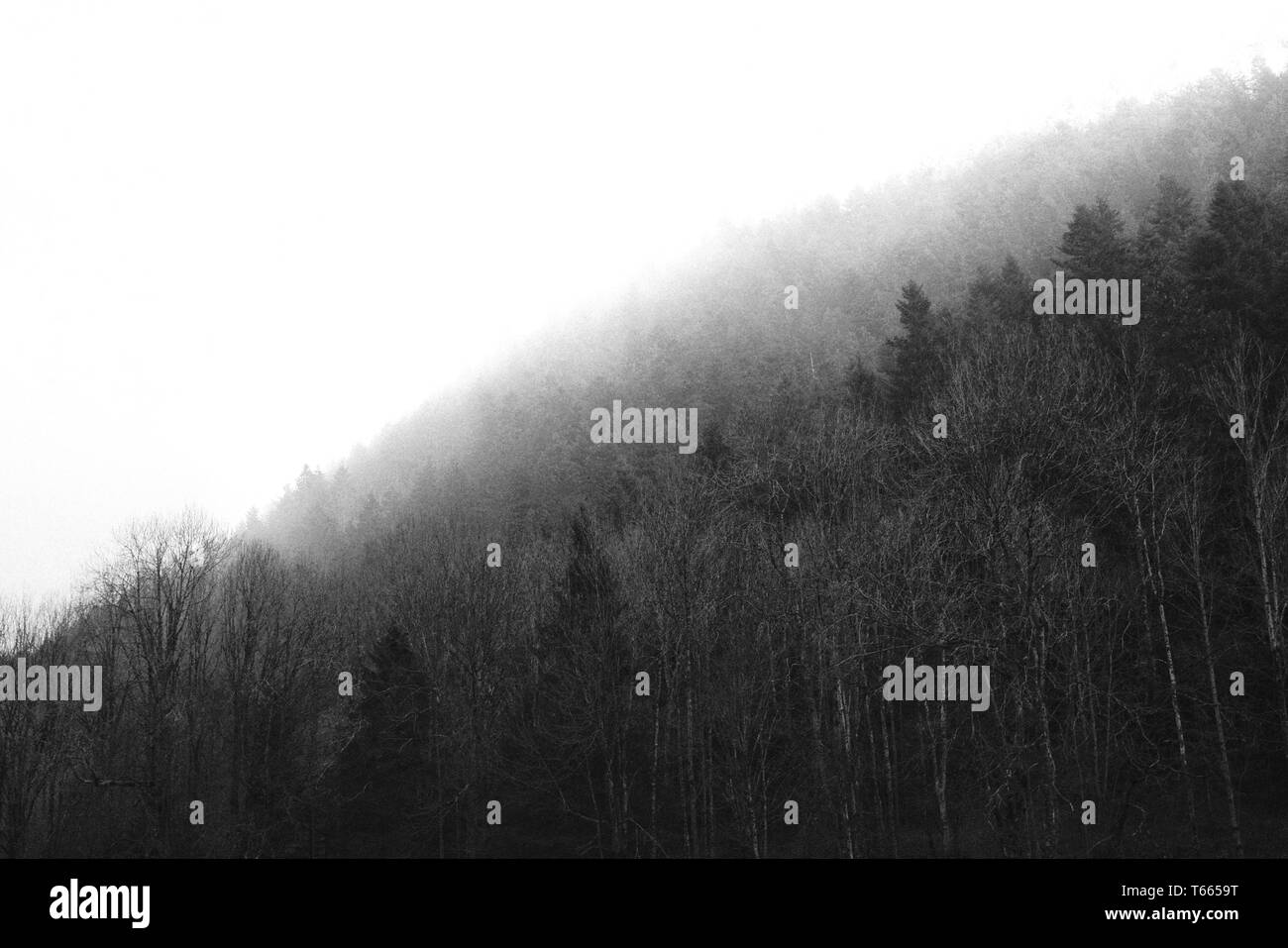 Dense thick fog in Black and White Stock Photos & Images - Alamy