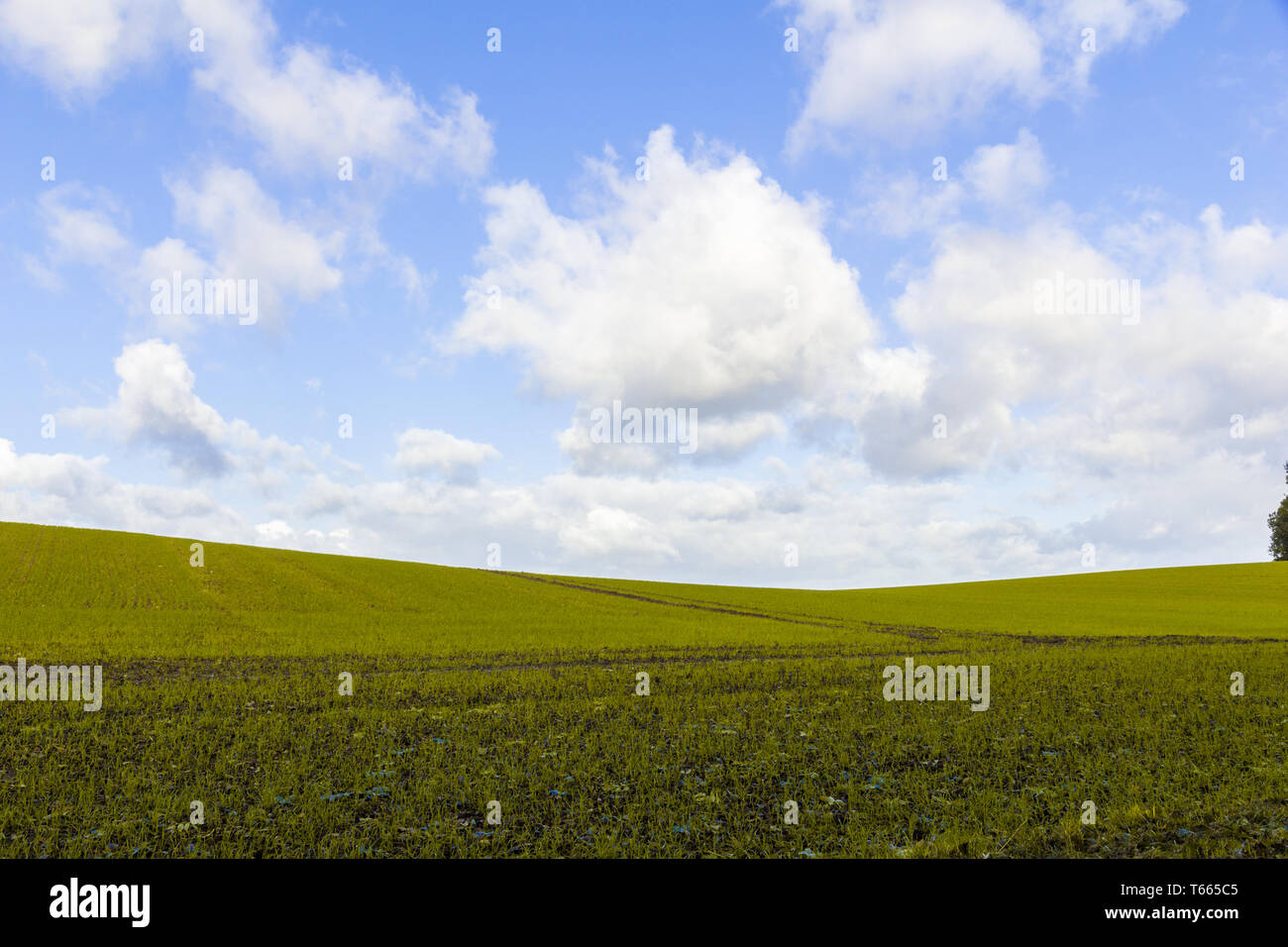 silhouette of a light hill against a blue cloudy sky Stock Photo