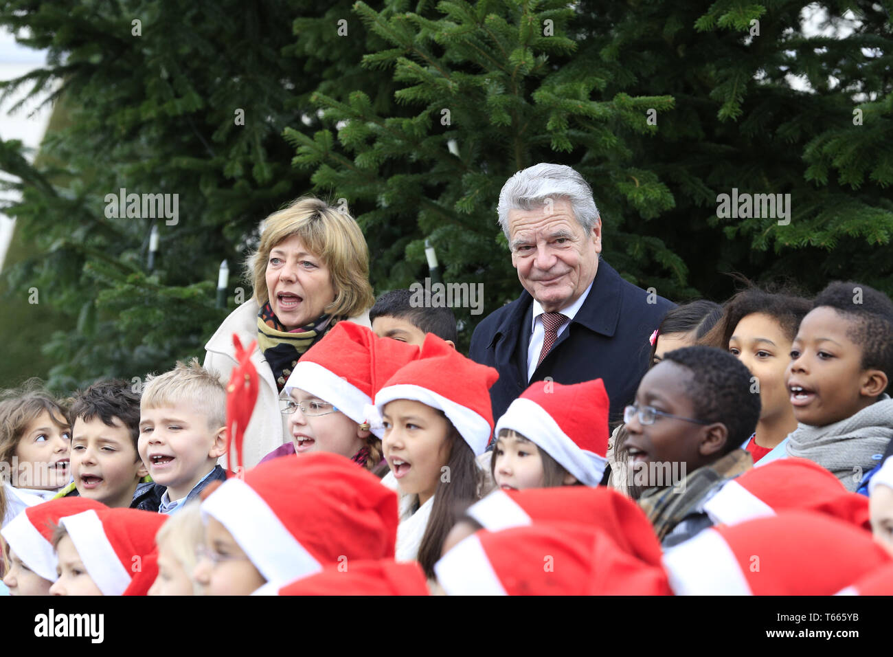 Hand-over ceremony of  the Christmas tree to the German President Joachim Gauck. Stock Photo