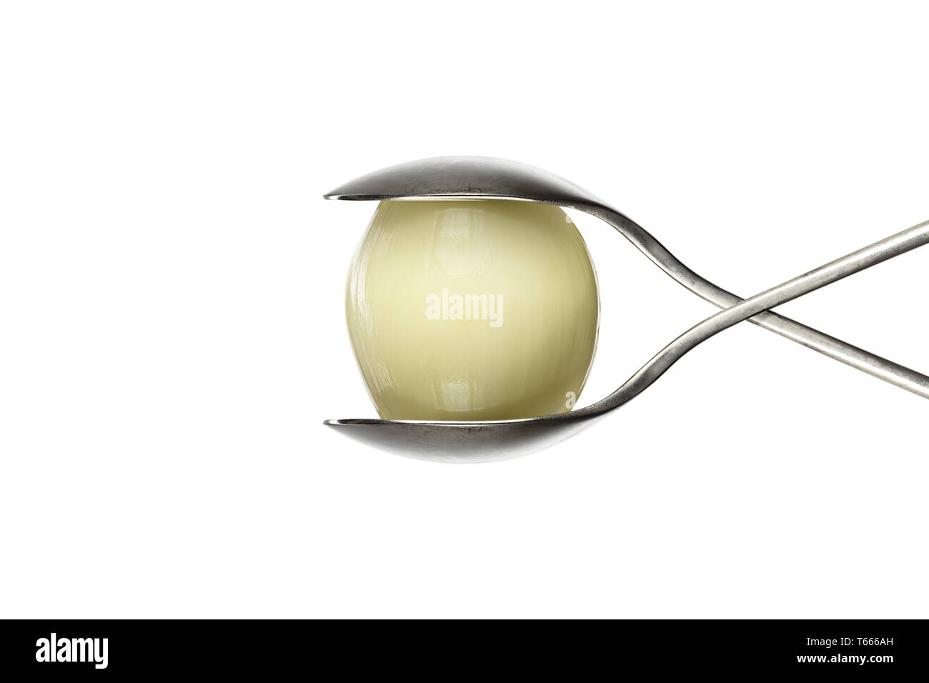 Onion leaves isolated hi-res stock photography and images - Alamy