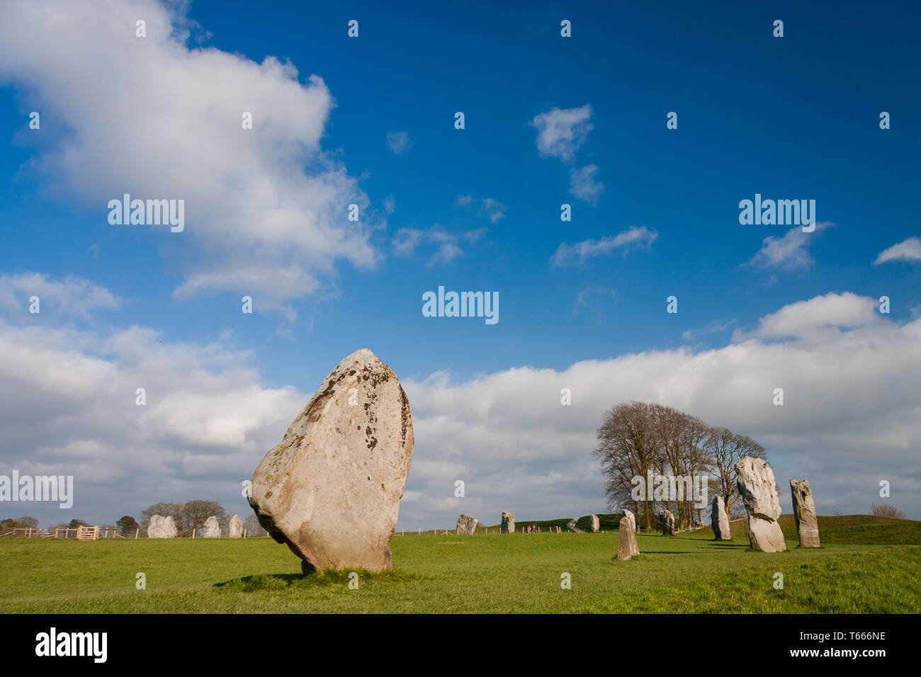 Details of stones and environs in the Prehistoric Avebury Stone Circle ...