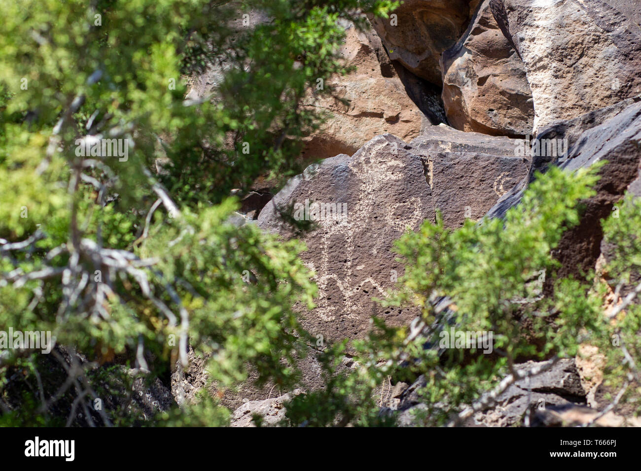 Petroglyphs at the La Cieneguilla Petroglyph Site near Santa Fe, New Mexico. Stock Photo