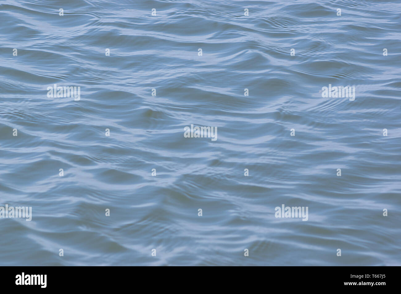 Sea water wave surface texture in soft light.  The Baltic Sea. Estonia. Stock Photo