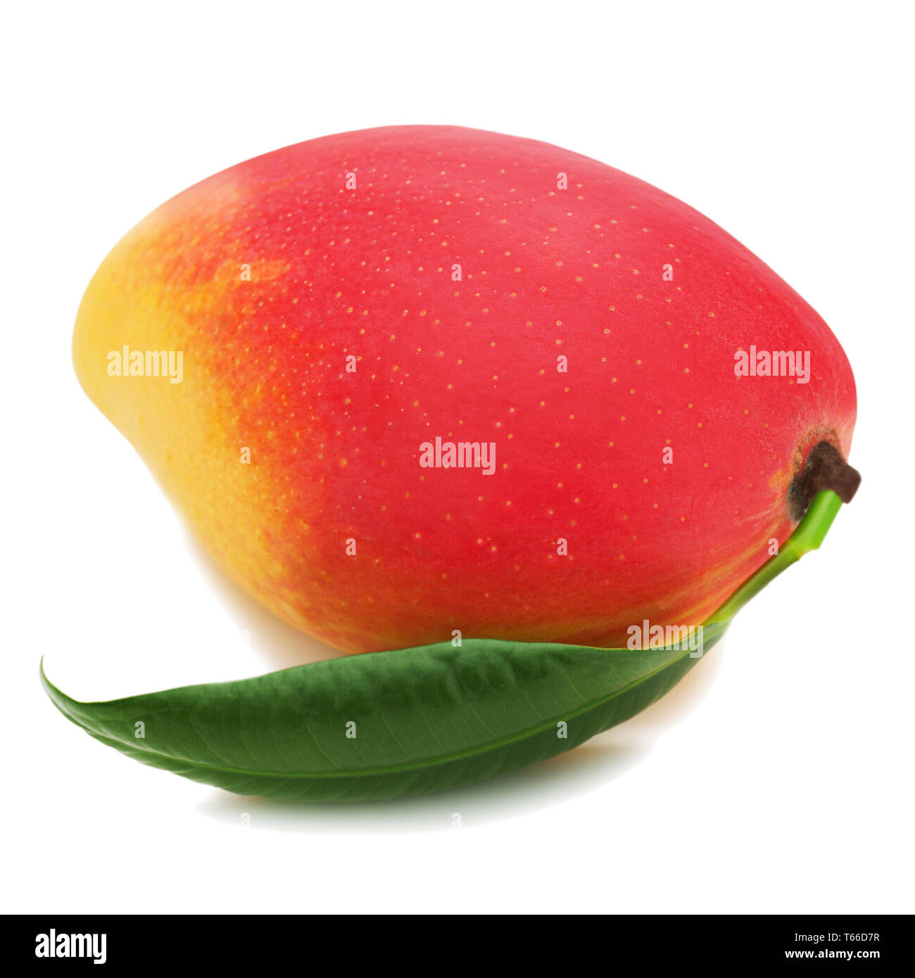 Mango R Die cut ripe mango hi-res stock photography and images - Alamy