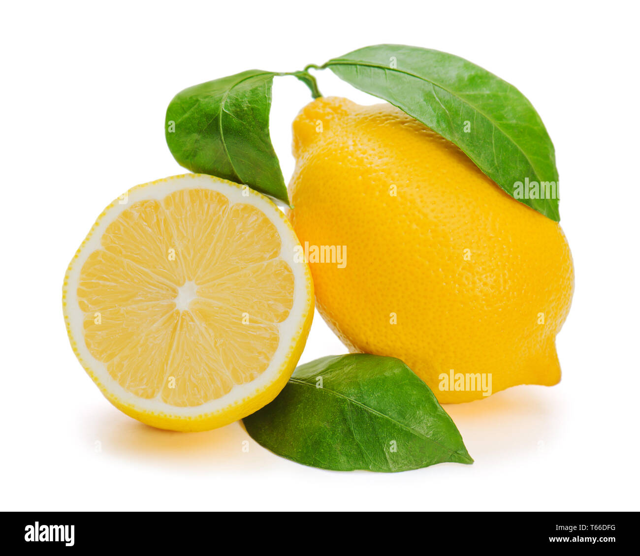 Lemon fresh fruit leaves hi-res stock photography and images - Alamy