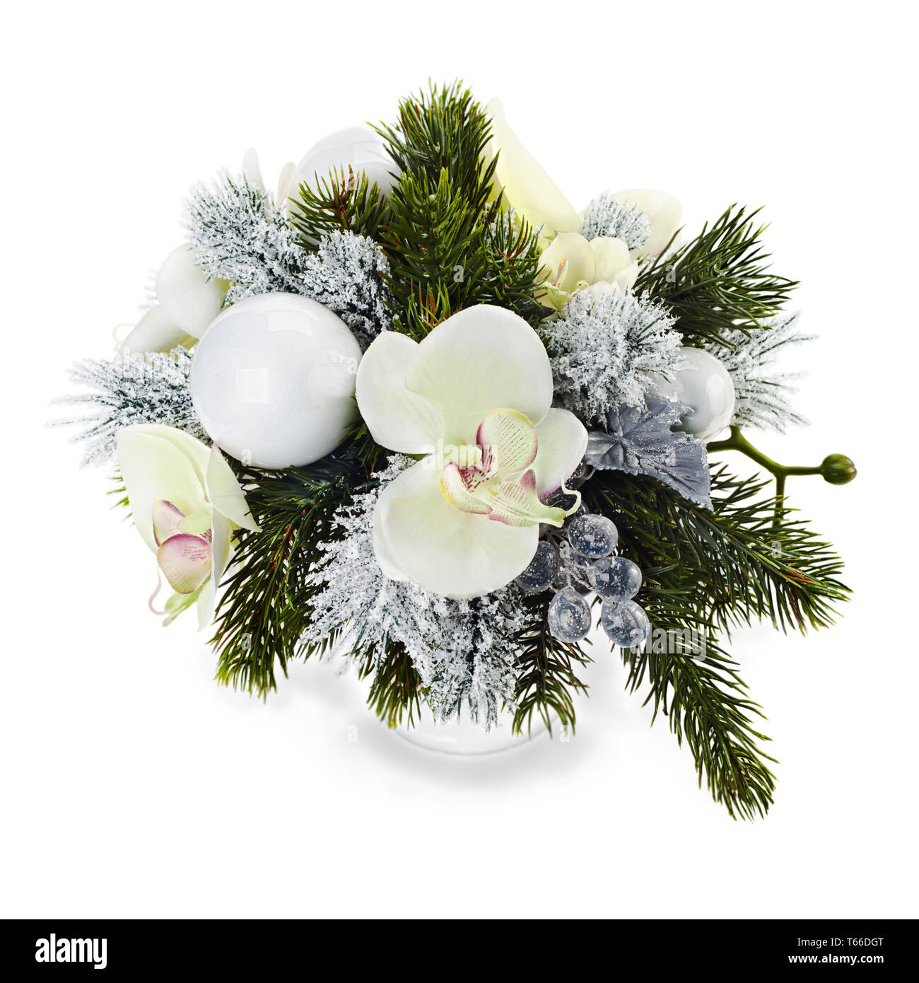 Christmas orchids hires stock photography and images Alamy