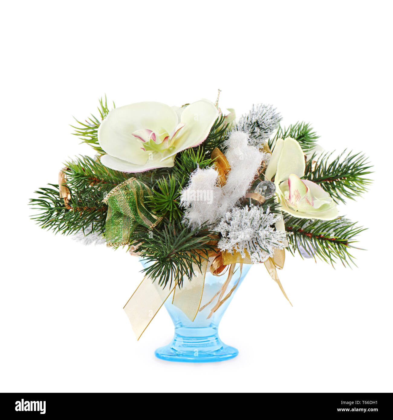 Christmas orchids hires stock photography and images Alamy