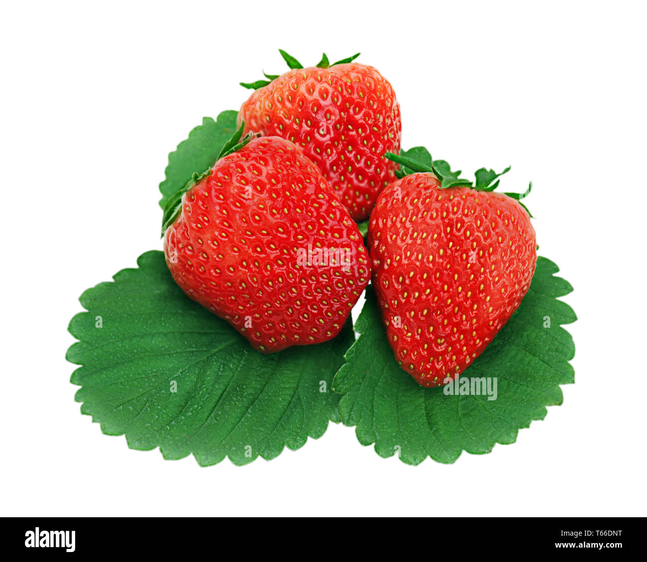 red ripe strawberries isolated on white background Stock Photo - Alamy
