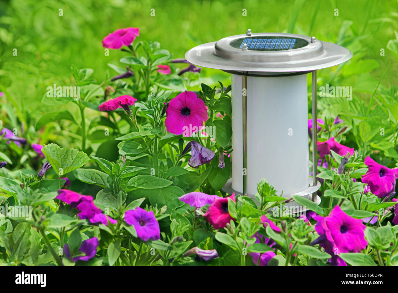 Solar powered garden lamp Stock Photo Alamy