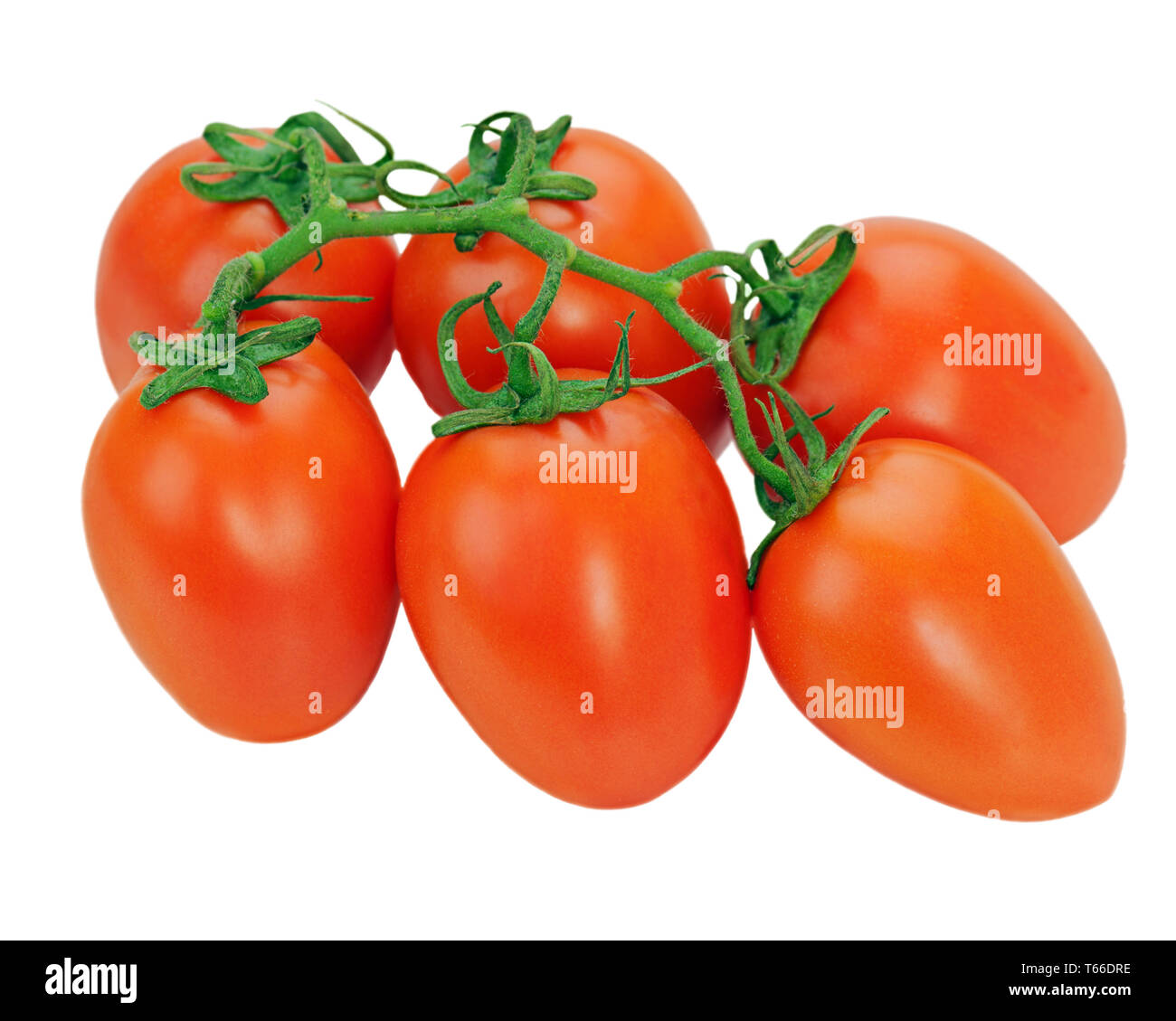tomatoes on the vine isolated on white background Stock Photo - Alamy