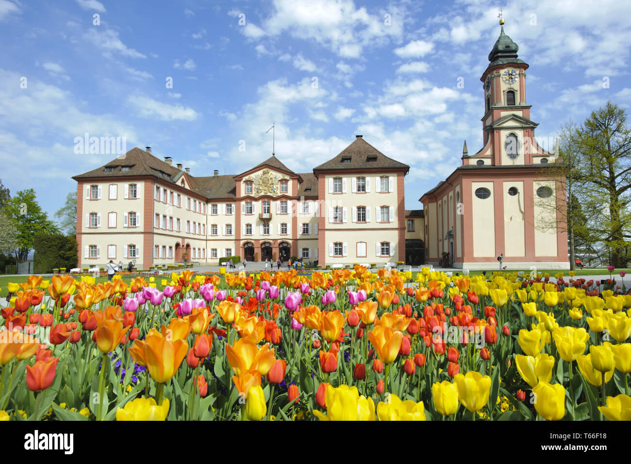 Flower Tulips Mainau Island Lake Hi res Stock Photography And Images 