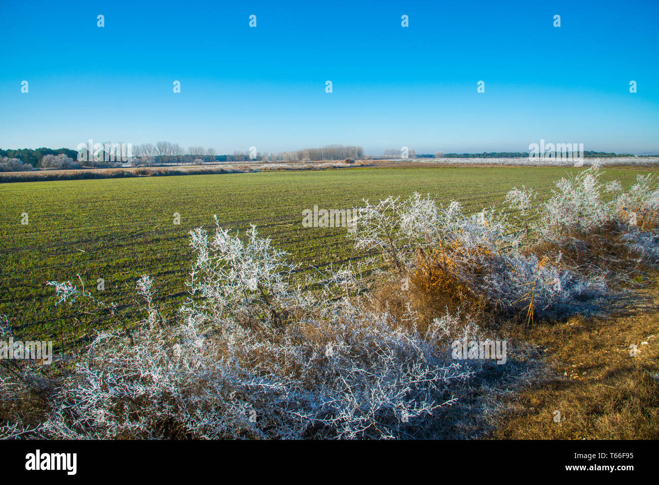 Winter landscape. Cuellar, Segovia province, Castilla Leon, Spain. Stock Photo