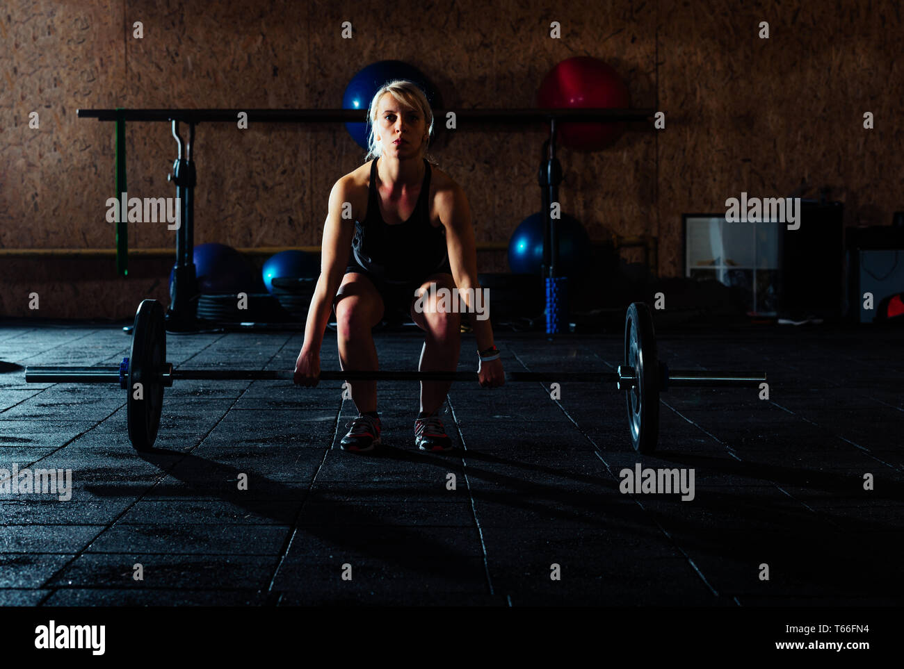Athlete woman is doing exercise with barbell in the gym Stock Photo - Alamy