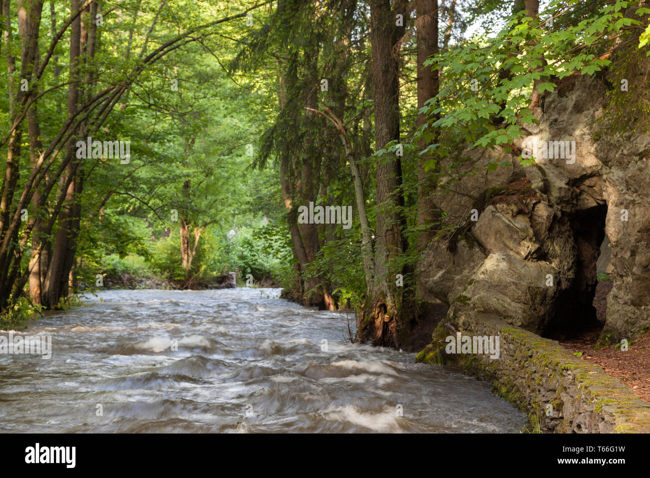 Stream Selke, Harz Mountains, Germany Stock Photo