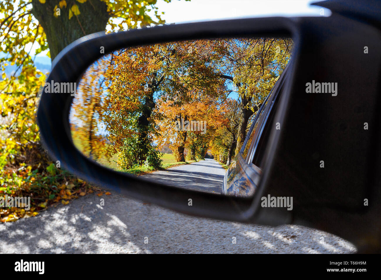 rural Road in the autumn Stock Photo - Alamy
